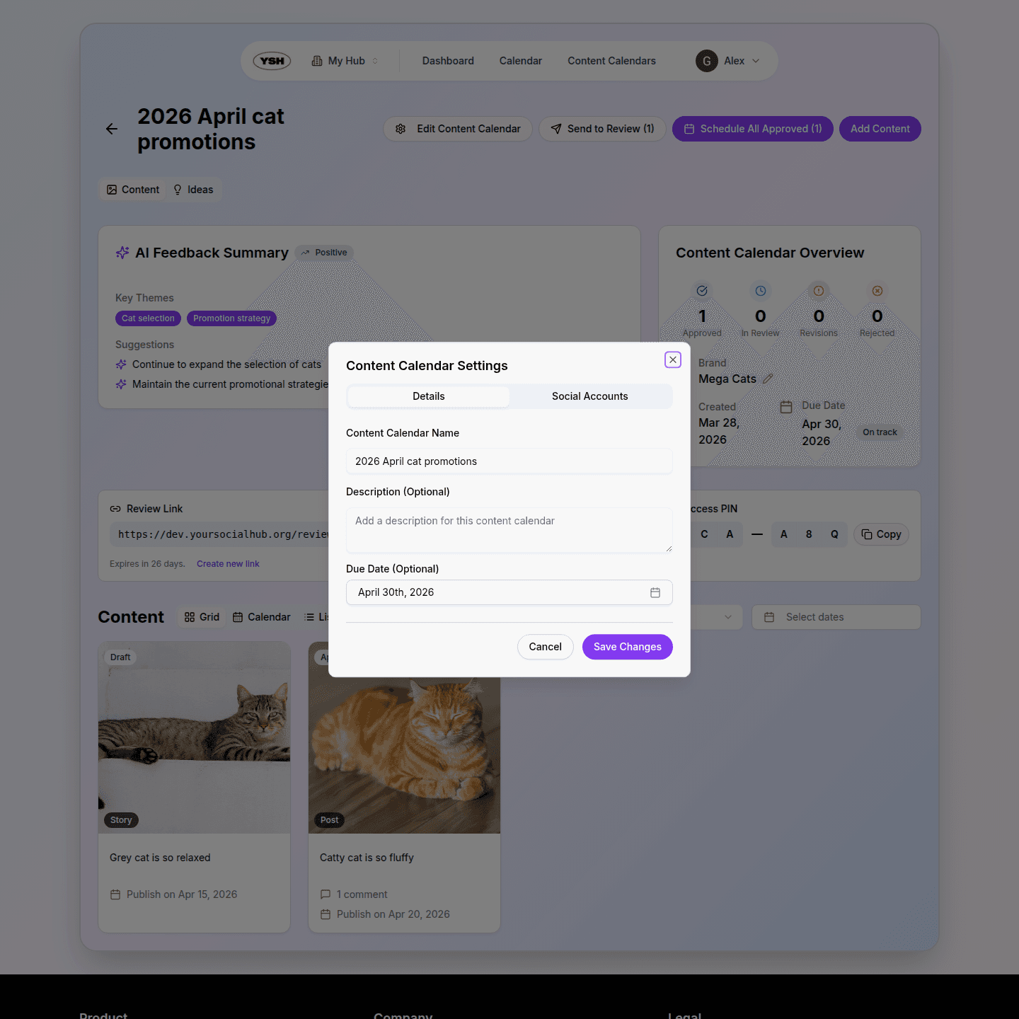 Edit dialog with publication date and social account selection